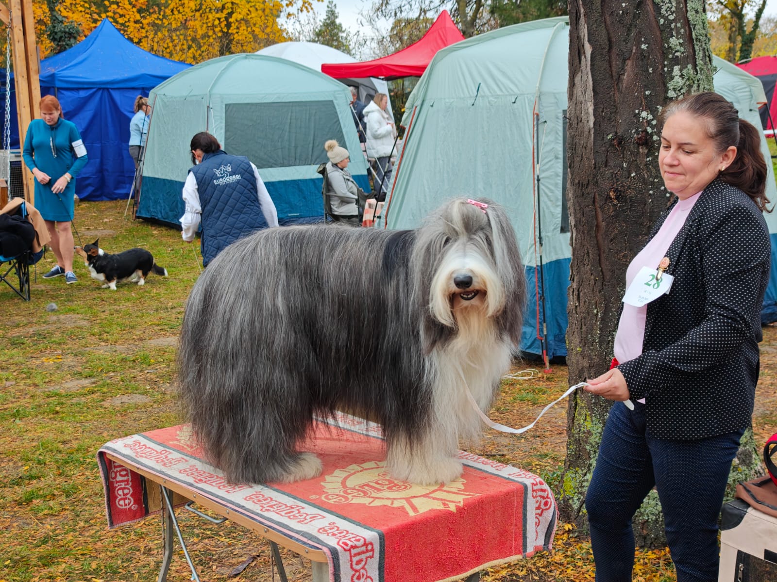 WhatsApp Image 2025-10-26 at 13.35.08 (3)