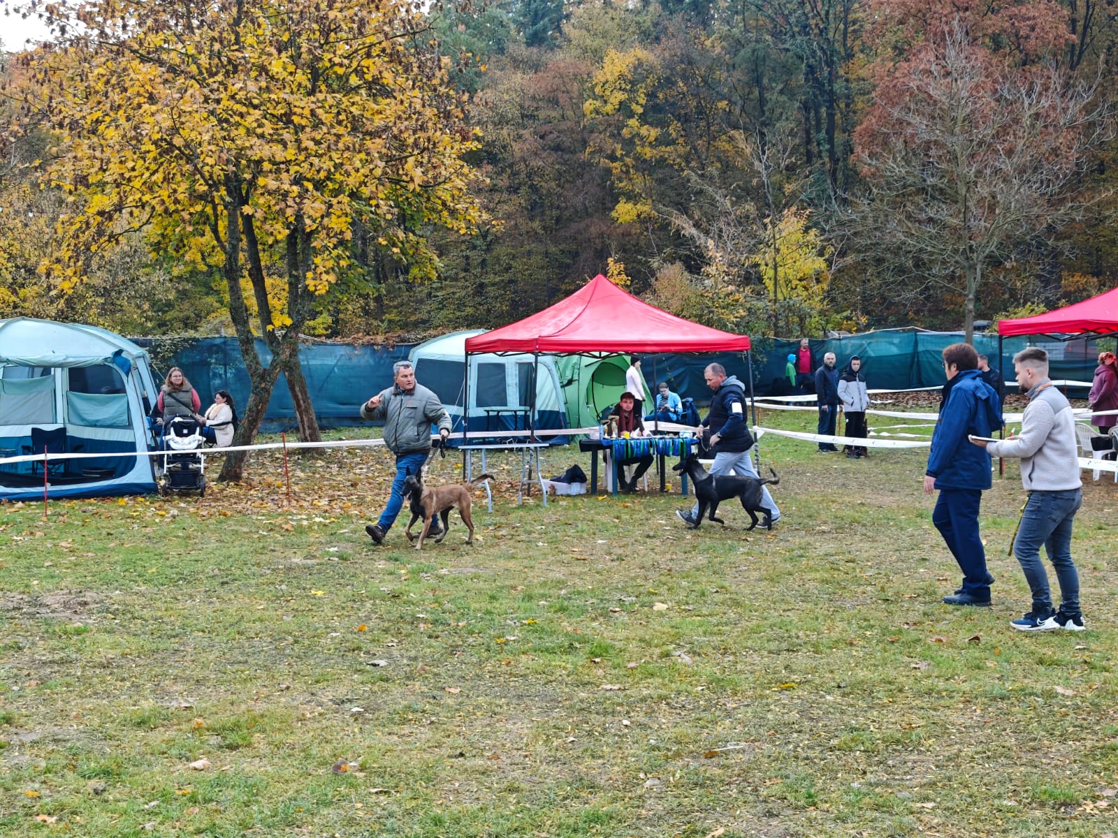 WhatsApp Image 2025-10-26 at 13.35.08 (8)