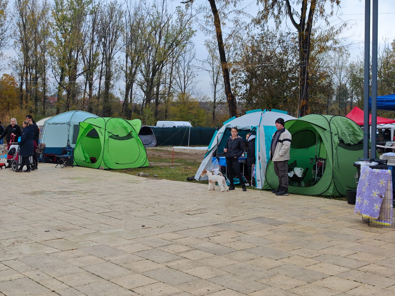 WhatsApp Image 2025-10-26 at 13.35.09 (5)