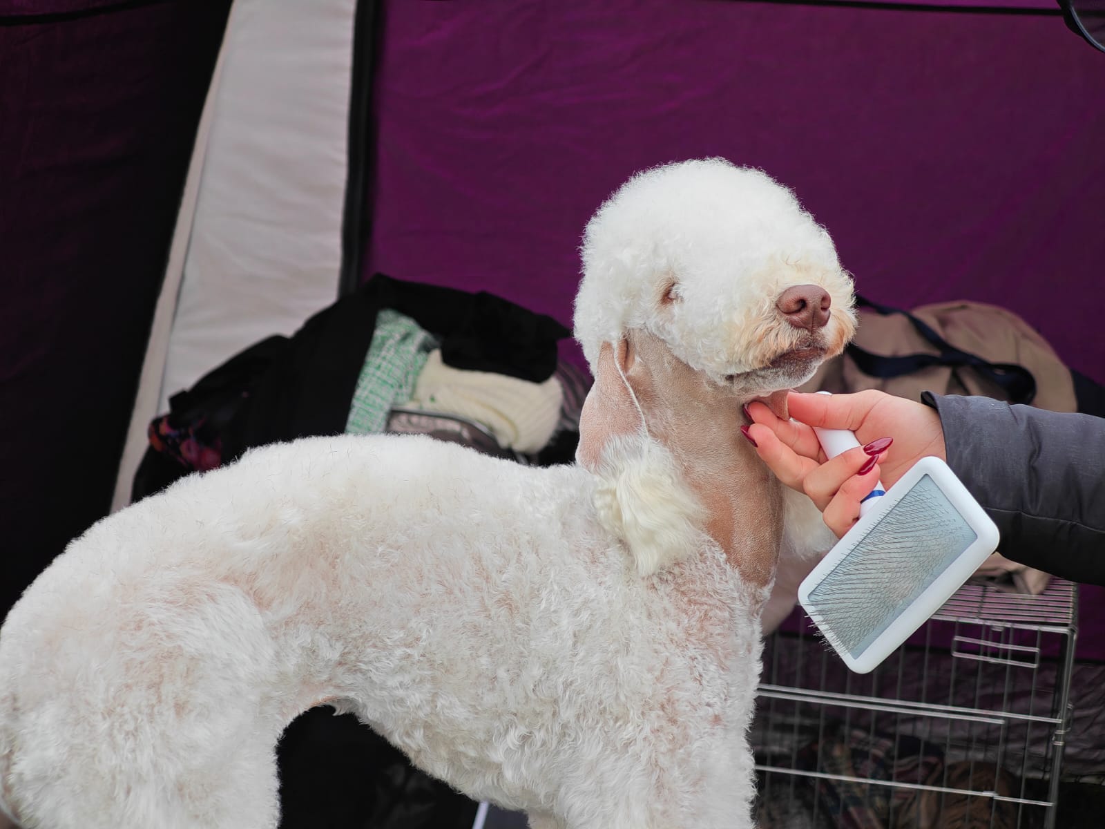 WhatsApp Image 2025-10-26 at 13.35.09 (7)