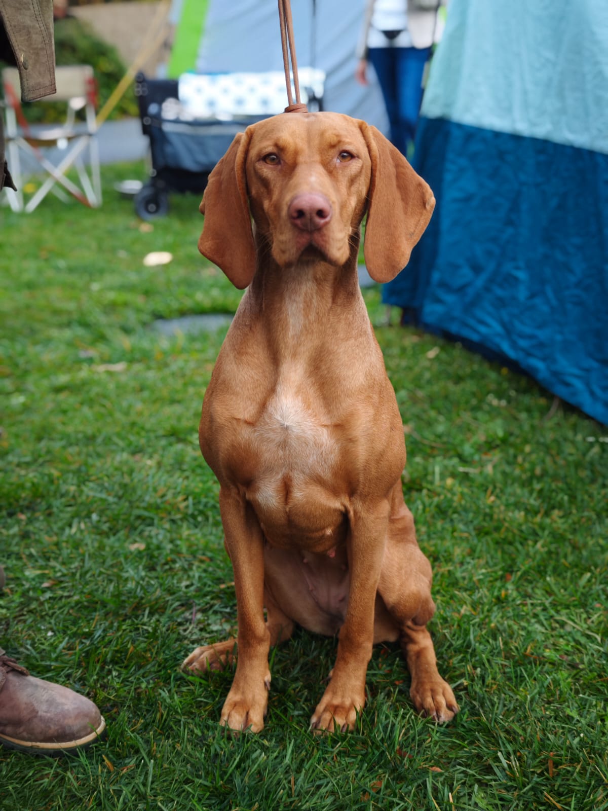 WhatsApp Image 2025-10-26 at 13.35.10 (4)