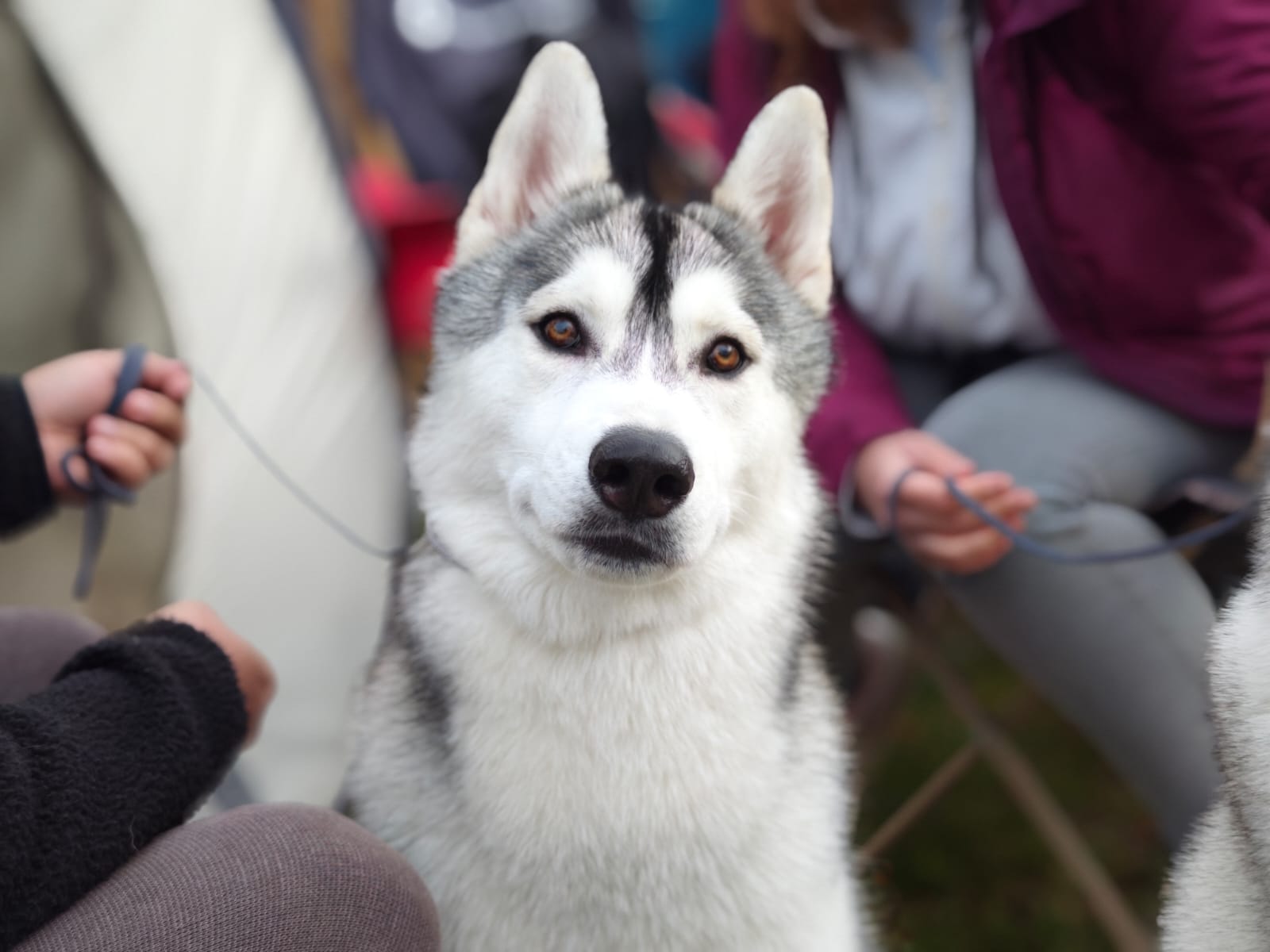 WhatsApp Image 2025-10-26 at 13.35.11 (1)