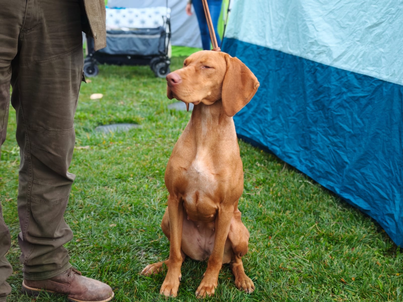 WhatsApp Image 2025-10-26 at 13.35.11