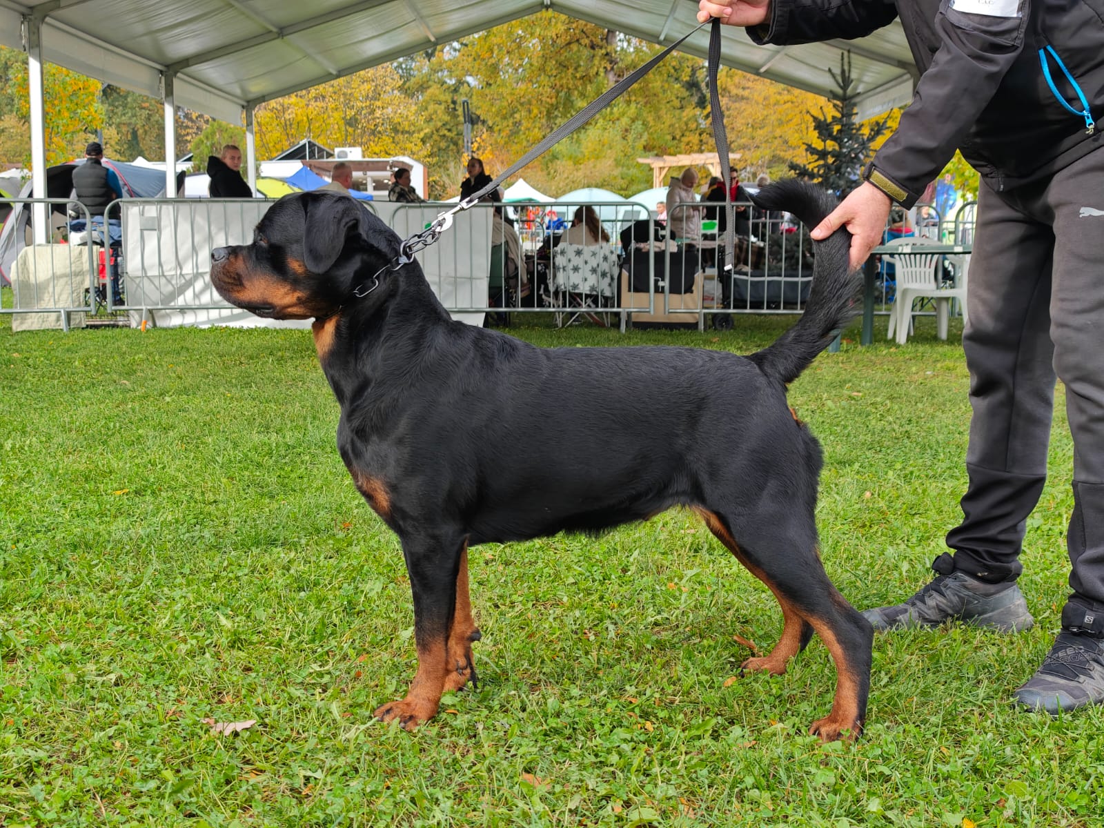 WhatsApp Image 2025-10-26 at 13.34.56 (2)