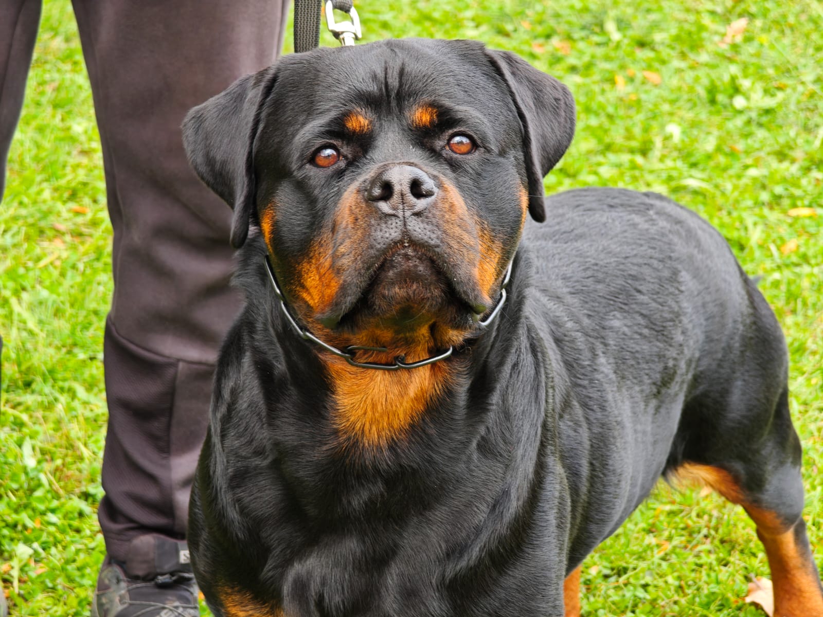 WhatsApp Image 2025-10-26 at 13.34.57 (4)