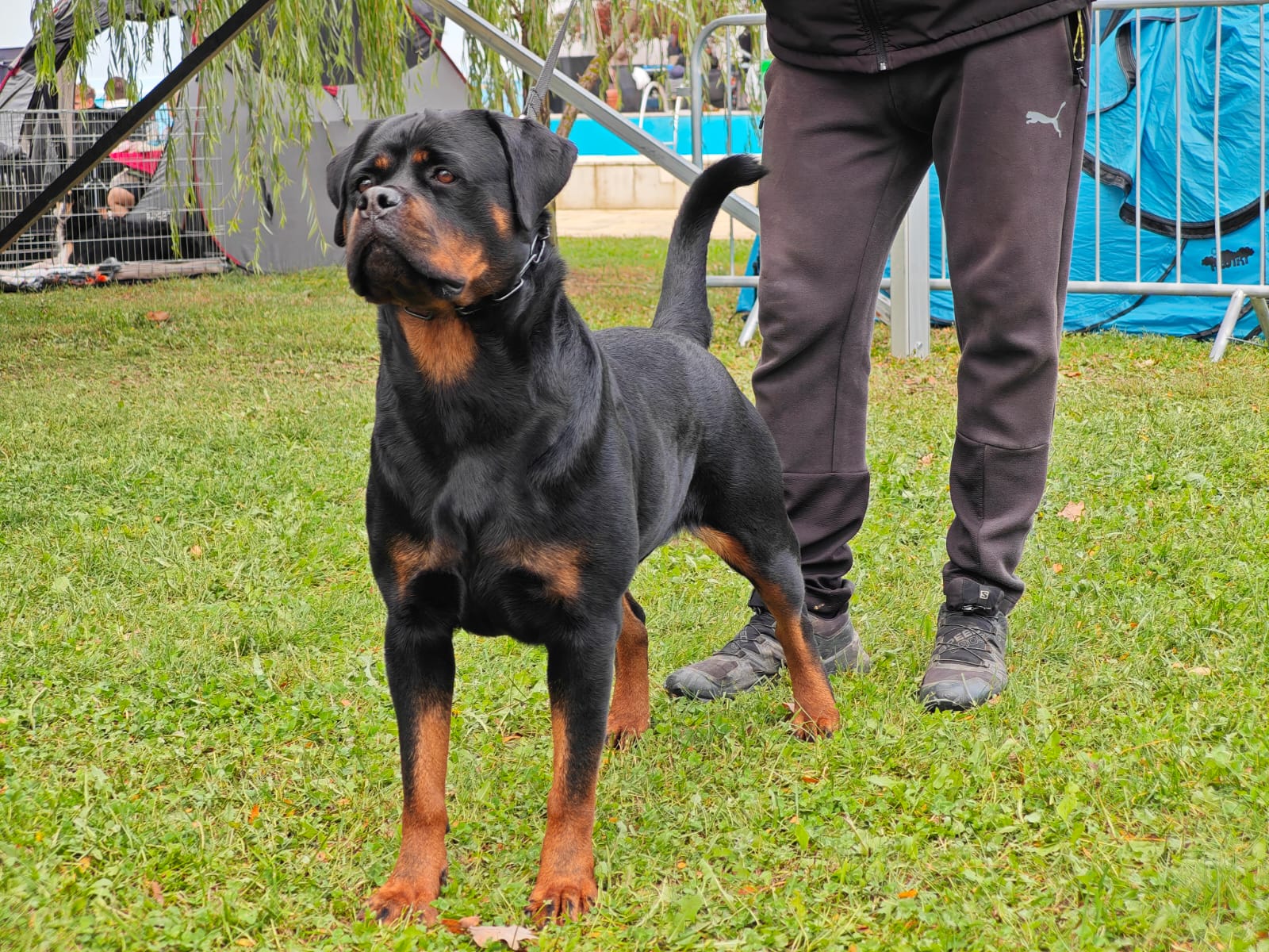 WhatsApp Image 2025-10-26 at 13.34.58 (1)