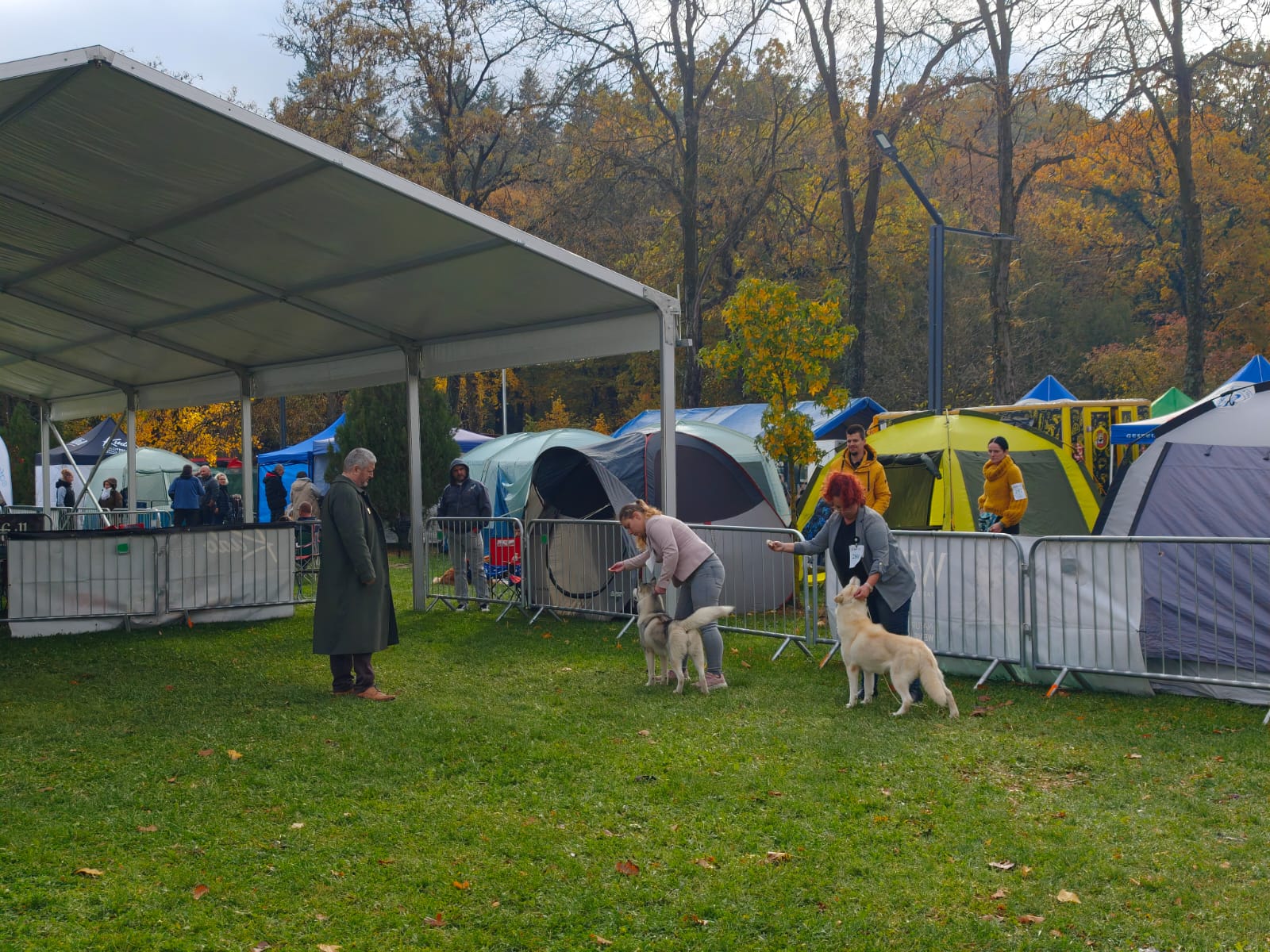 WhatsApp Image 2025-10-26 at 13.34.58 (5)