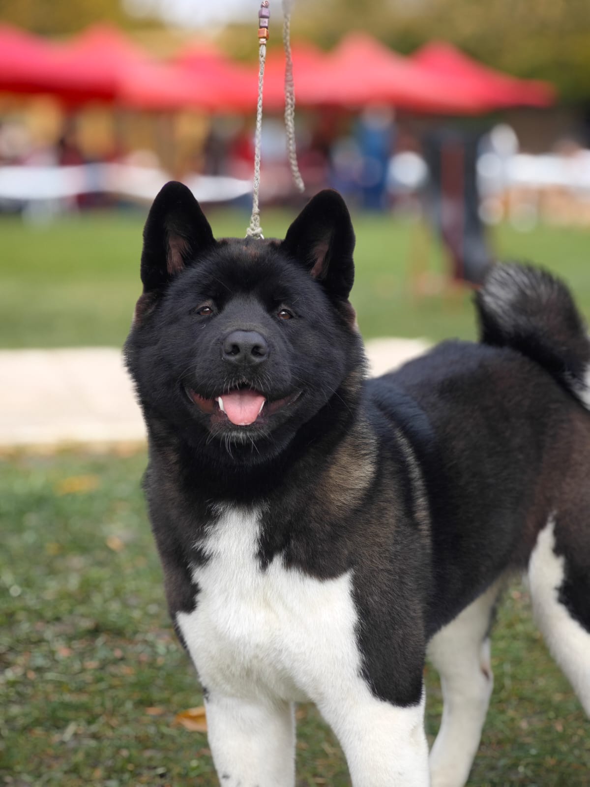 WhatsApp Image 2025-10-26 at 13.34.59 (2)