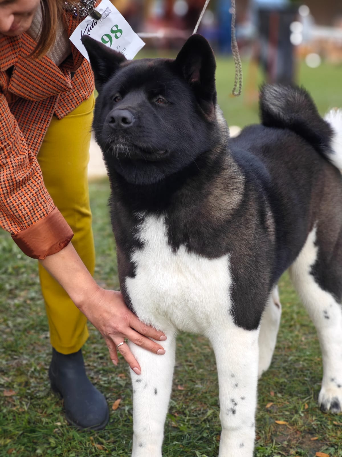 WhatsApp Image 2025-10-26 at 13.34.59 (4)