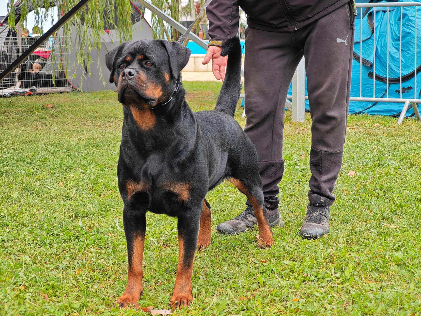 WhatsApp Image 2025-10-26 at 13.34.59 (7)