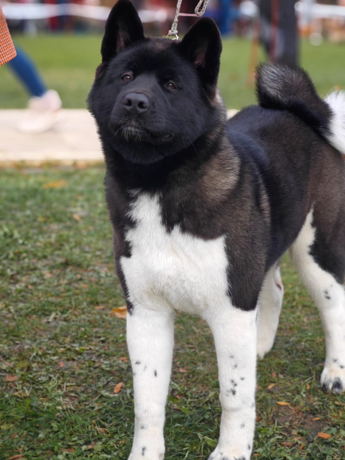 WhatsApp Image 2025-10-26 at 13.34.59 (8)