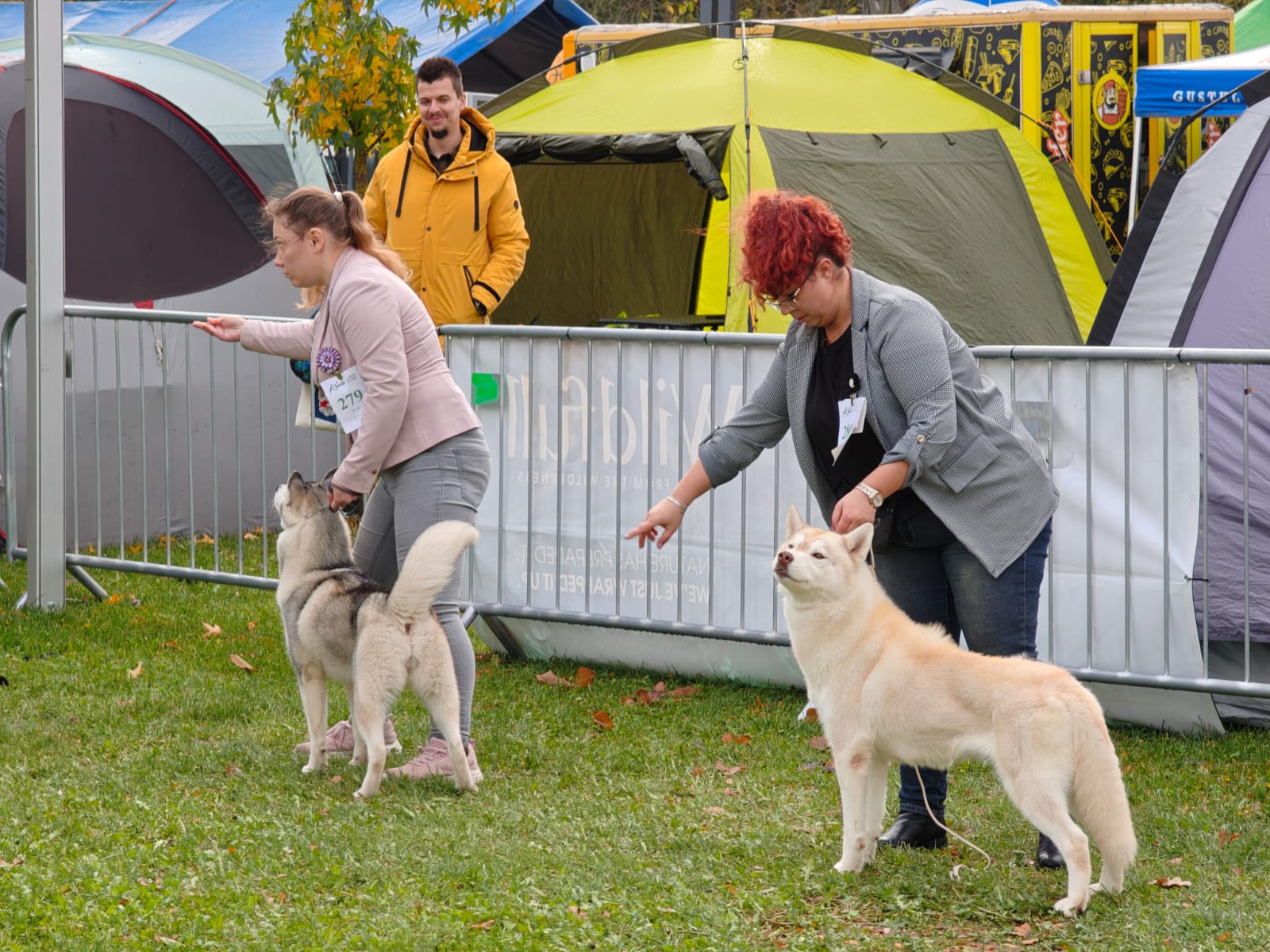 WhatsApp Image 2025-10-26 at 13.34.59