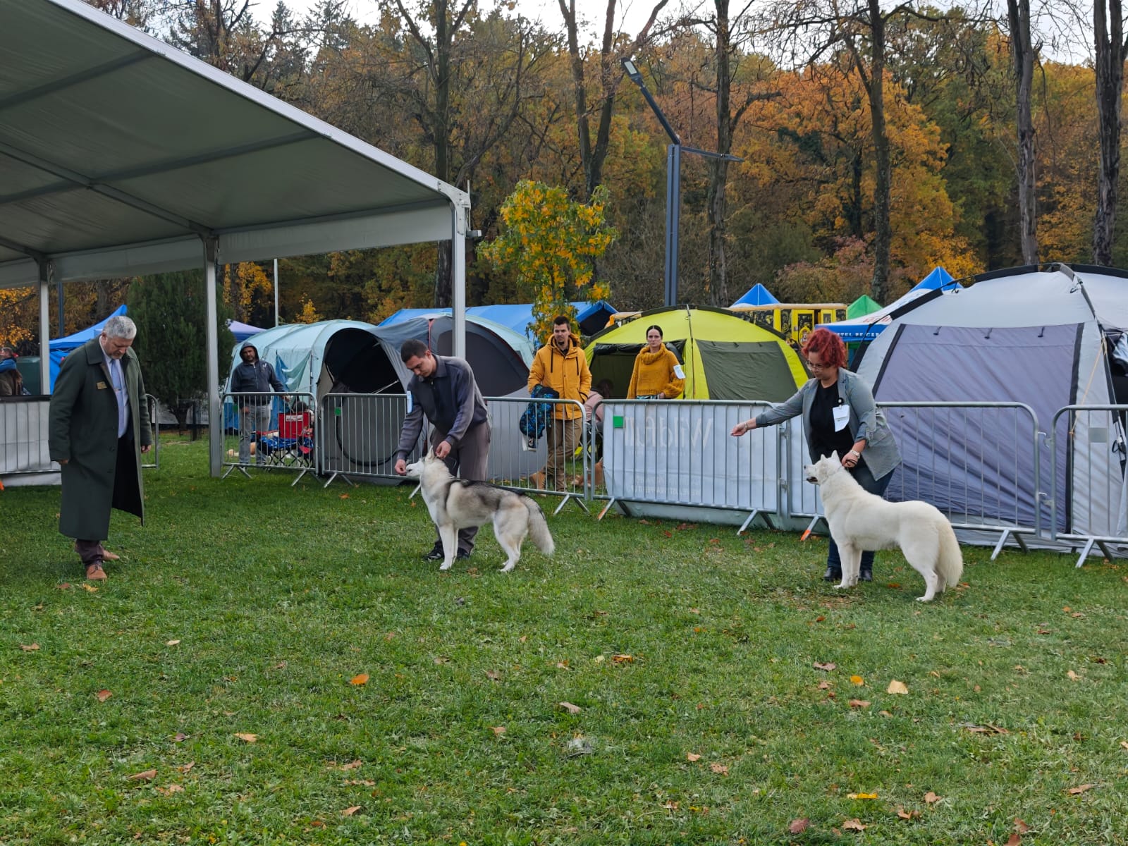 WhatsApp Image 2025-10-26 at 13.35.00 (3)