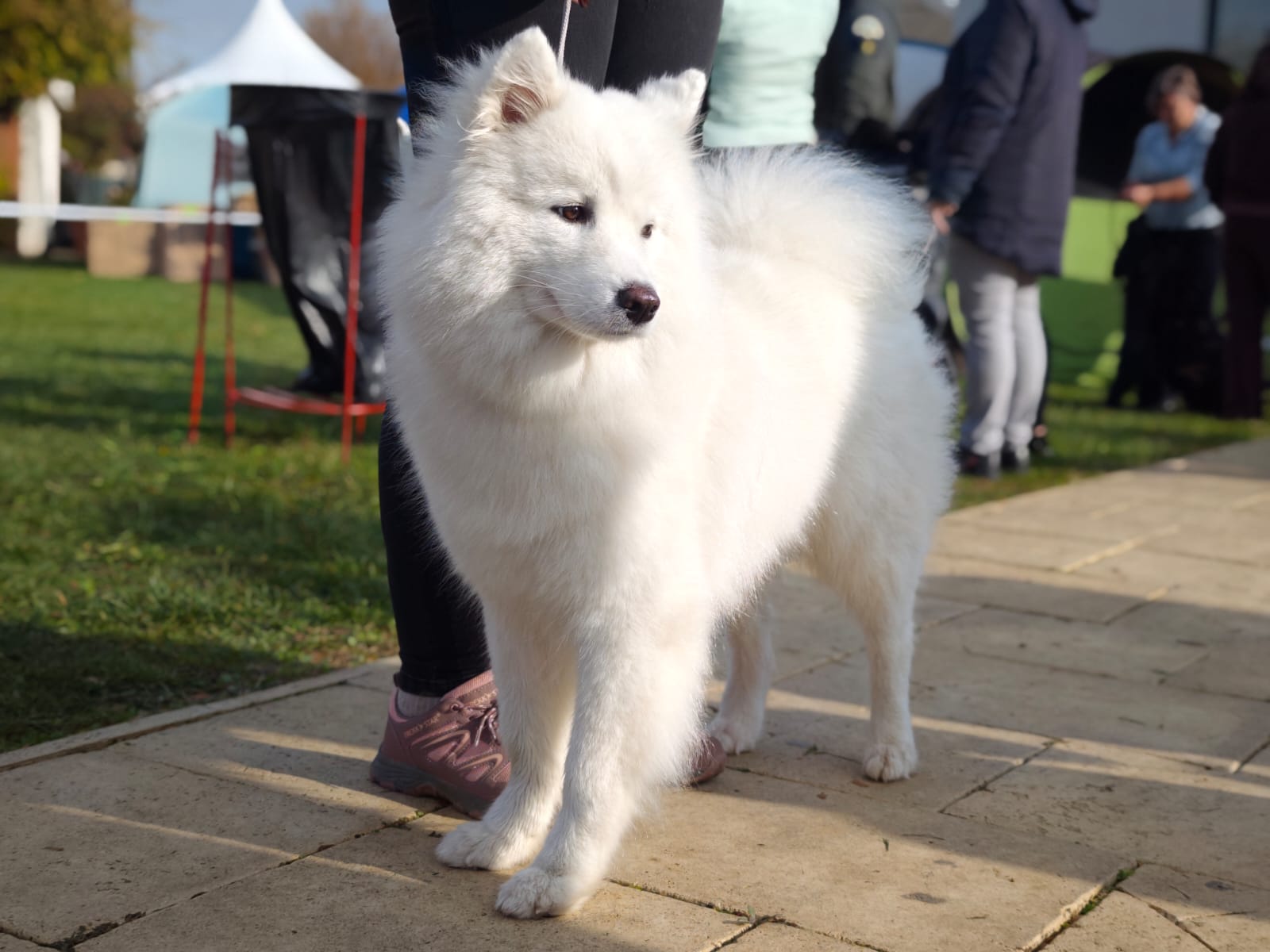 WhatsApp Image 2025-10-26 at 13.35.01 (7)