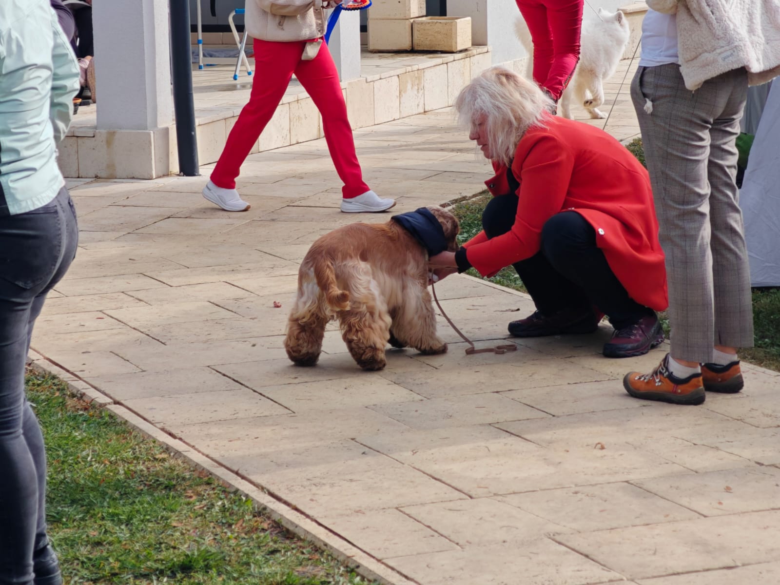 WhatsApp Image 2025-10-26 at 13.35.02 (2)