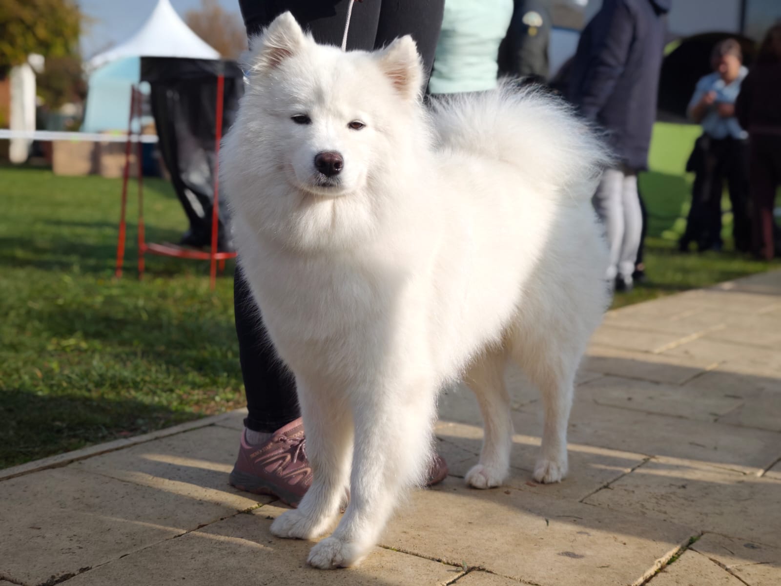 WhatsApp Image 2025-10-26 at 13.35.02