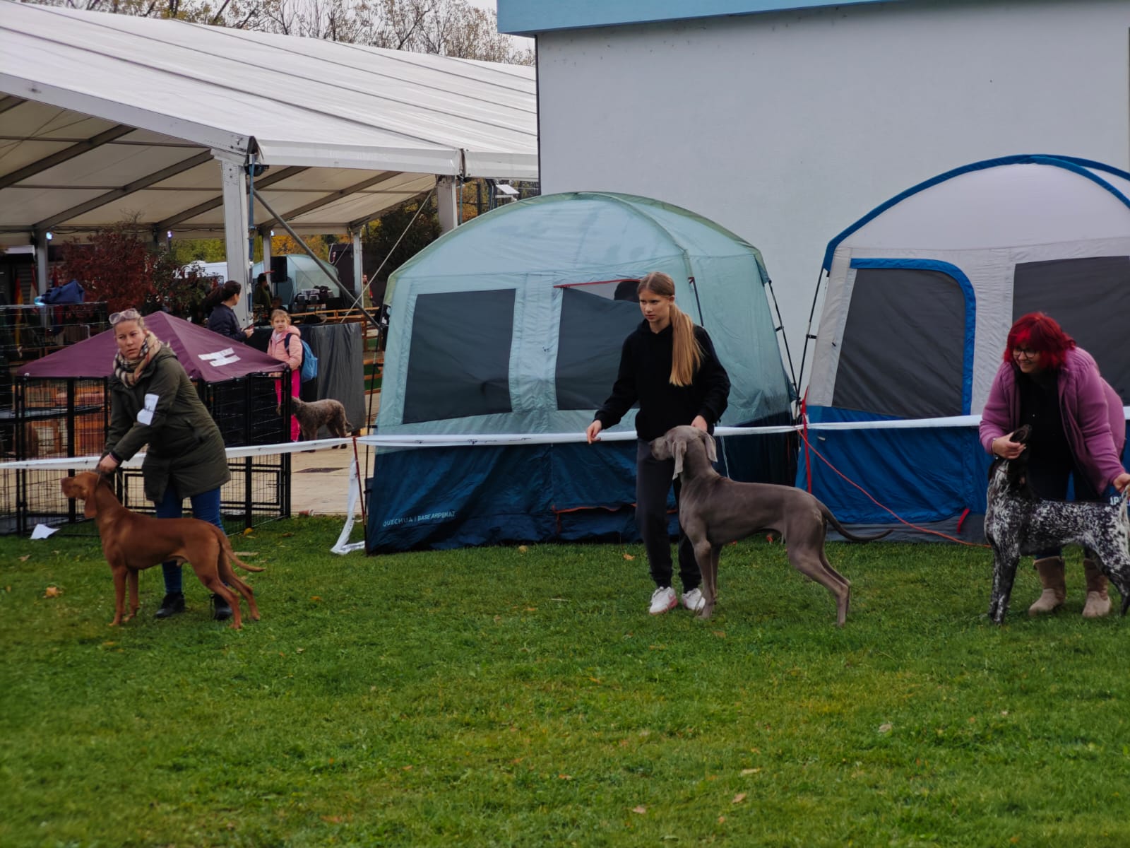 WhatsApp Image 2025-10-26 at 13.35.03 (3)