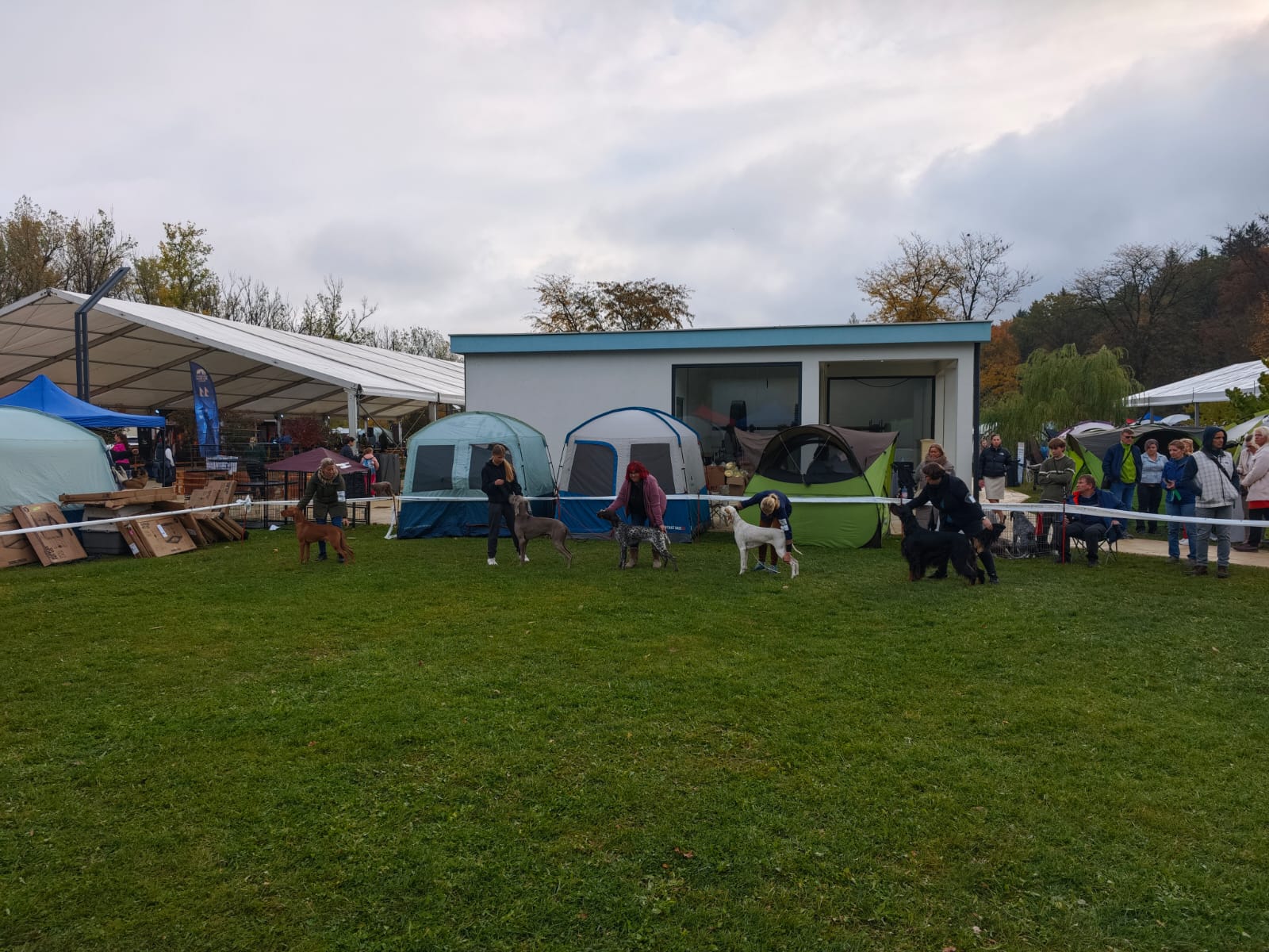 WhatsApp Image 2025-10-26 at 13.35.03 (5)