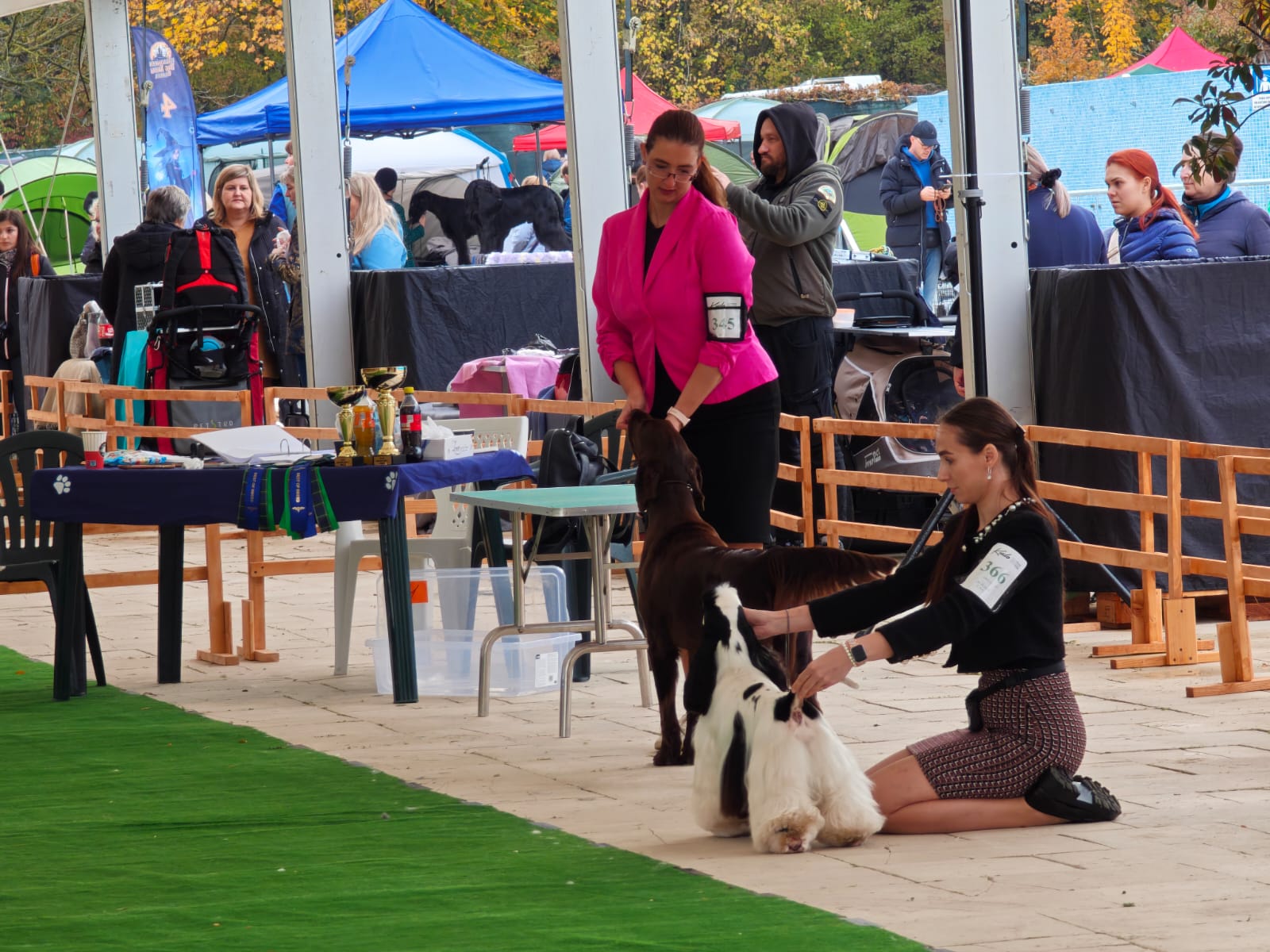 WhatsApp Image 2025-10-26 at 13.35.04 (2)