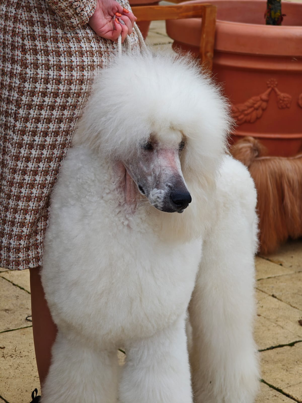 WhatsApp Image 2025-10-26 at 13.35.04 (5)