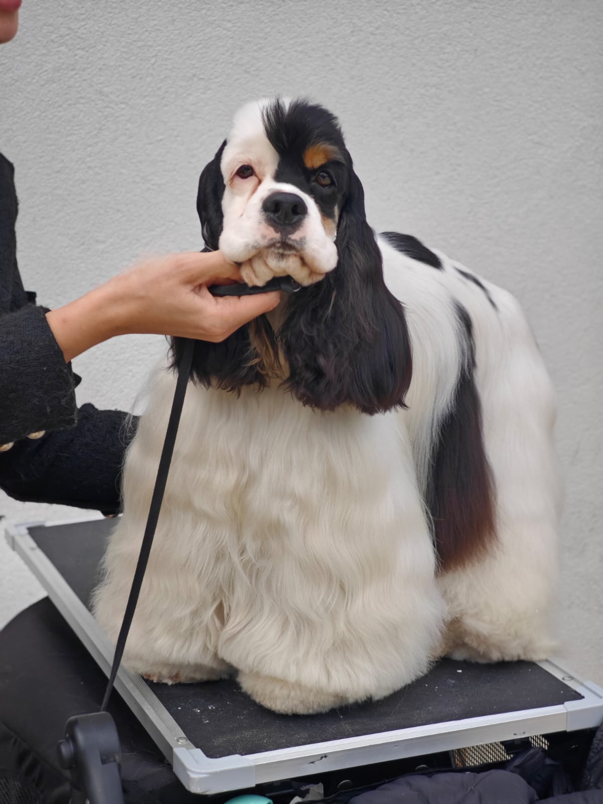 WhatsApp Image 2025-10-26 at 13.35.05 (1)