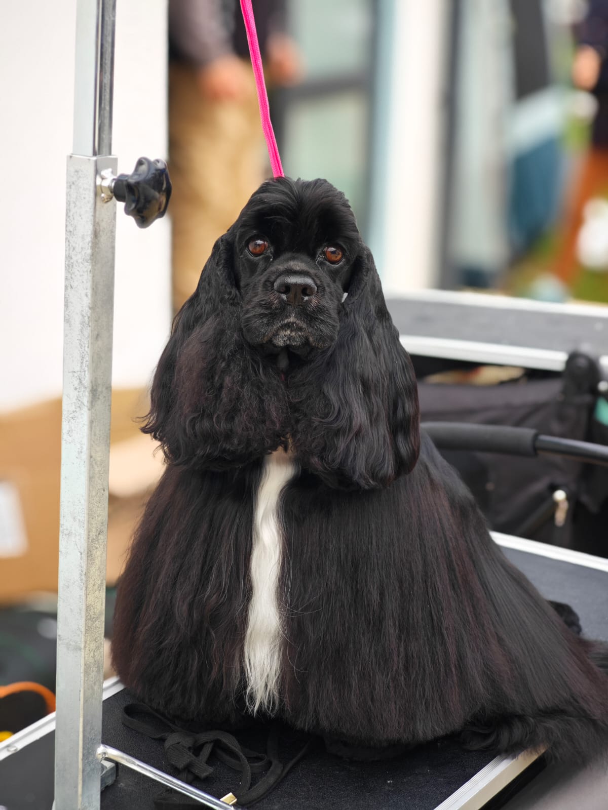 WhatsApp Image 2025-10-26 at 13.35.05