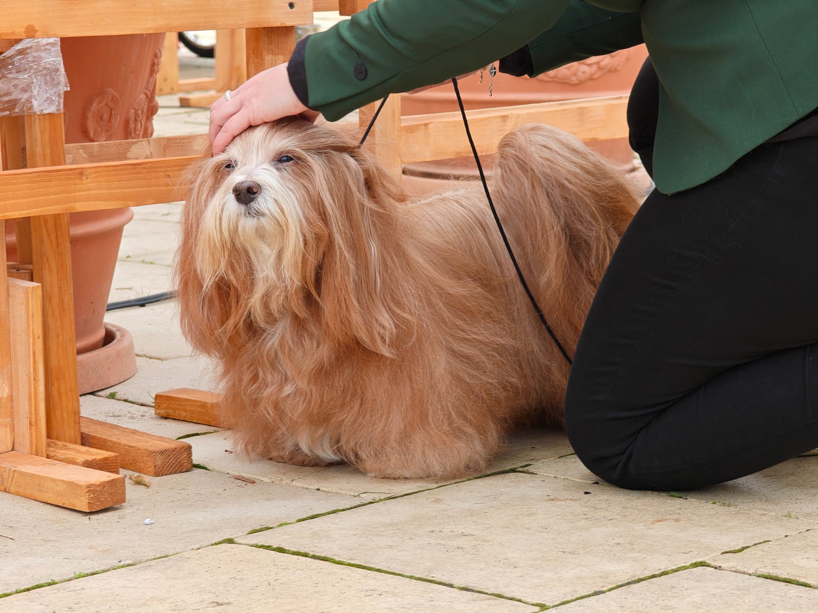 WhatsApp Image 2025-10-26 at 13.35.05 (4)