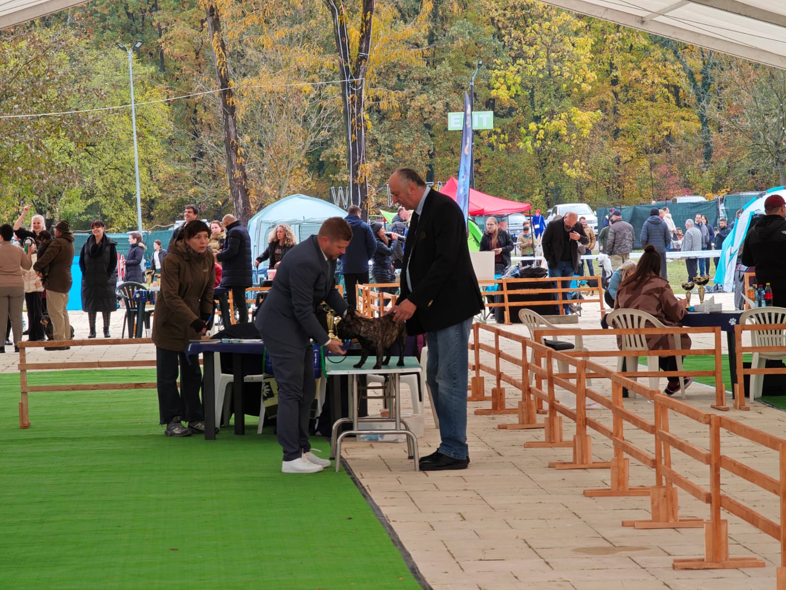 WhatsApp Image 2025-10-26 at 13.35.06 (4)