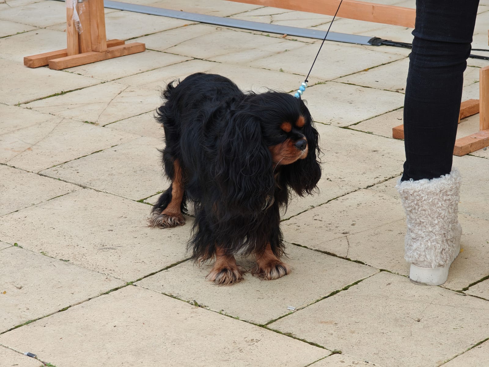 WhatsApp Image 2025-10-26 at 13.35.06 (6)