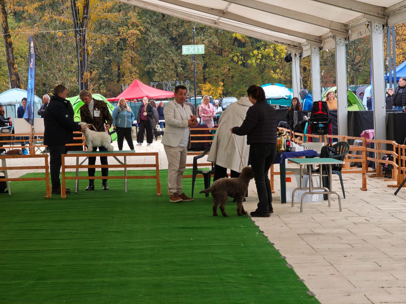 WhatsApp Image 2025-10-26 at 13.35.06 (8)