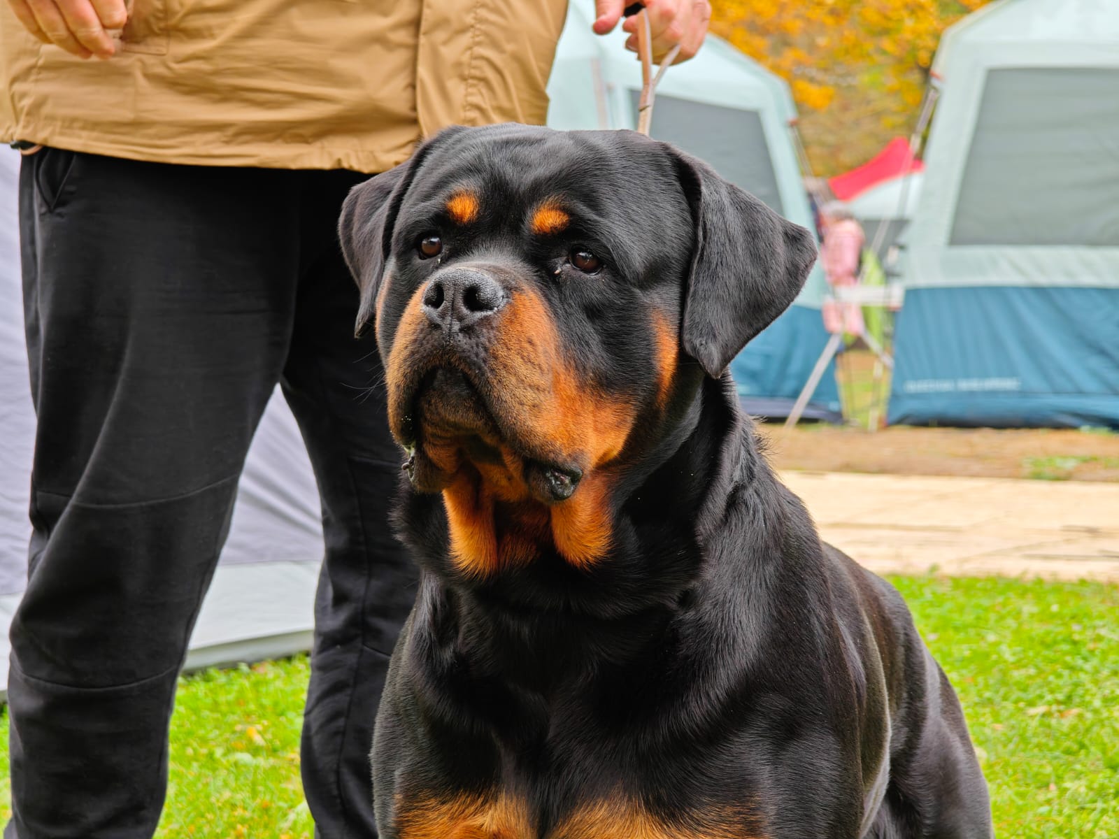 WhatsApp Image 2025-10-26 at 13.34.40 (1)