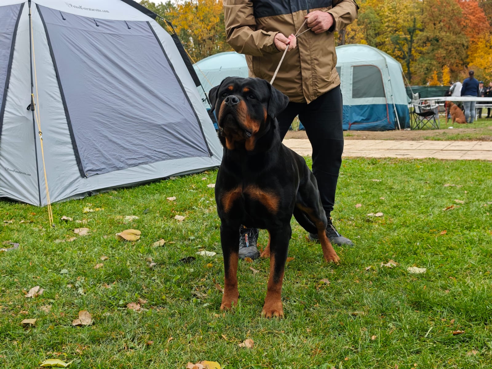 WhatsApp Image 2025-10-26 at 13.34.40 (3)