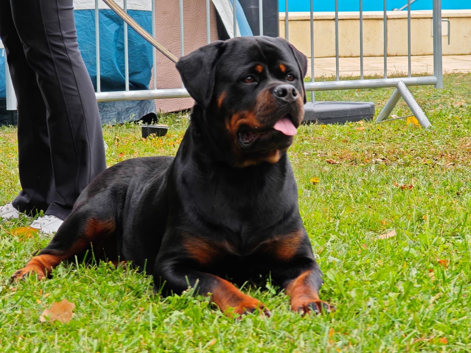 WhatsApp Image 2025-10-26 at 13.34.41 (1)