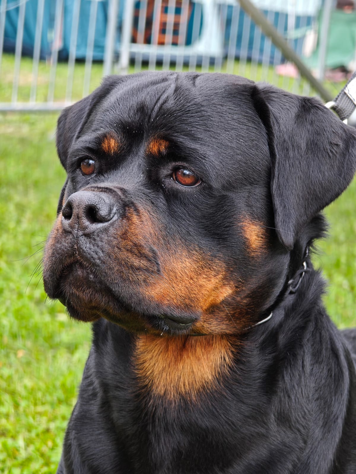 WhatsApp Image 2025-10-26 at 13.34.41 (4)