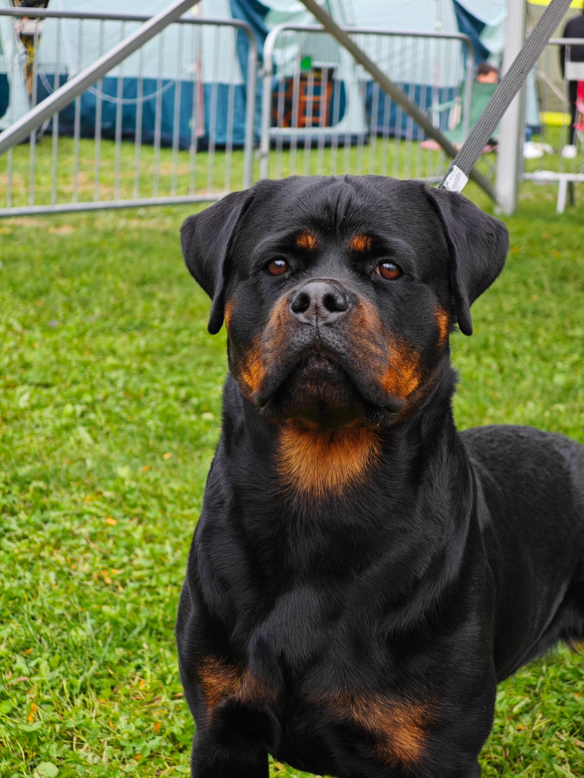 WhatsApp Image 2025-10-26 at 13.34.41 (5)