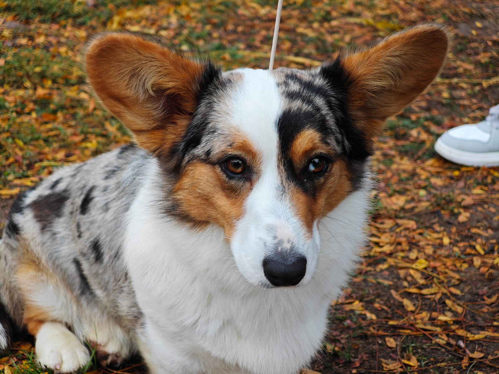 WhatsApp Image 2025-10-26 at 13.35.07