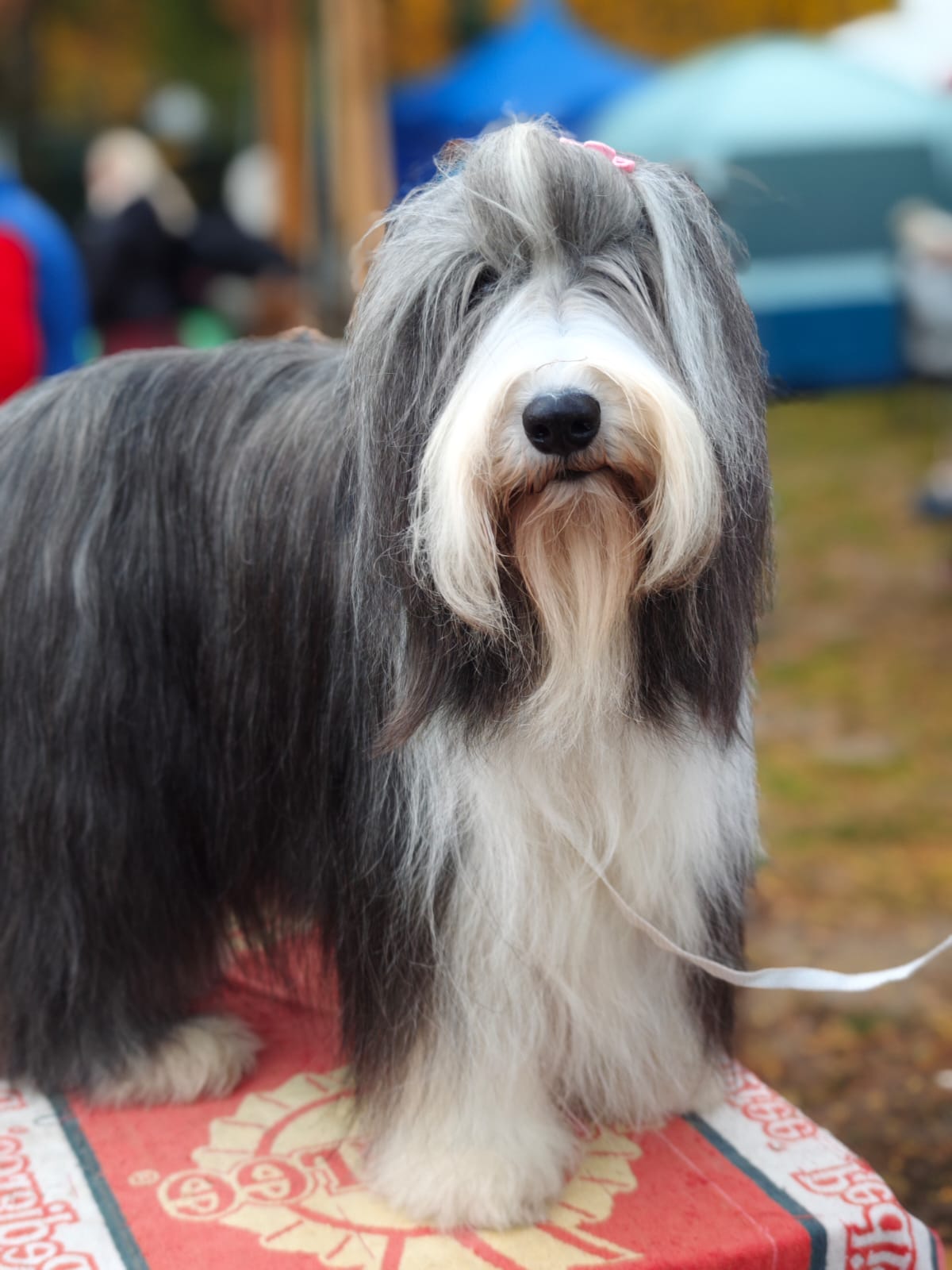 WhatsApp Image 2025-10-26 at 13.35.08 (2)