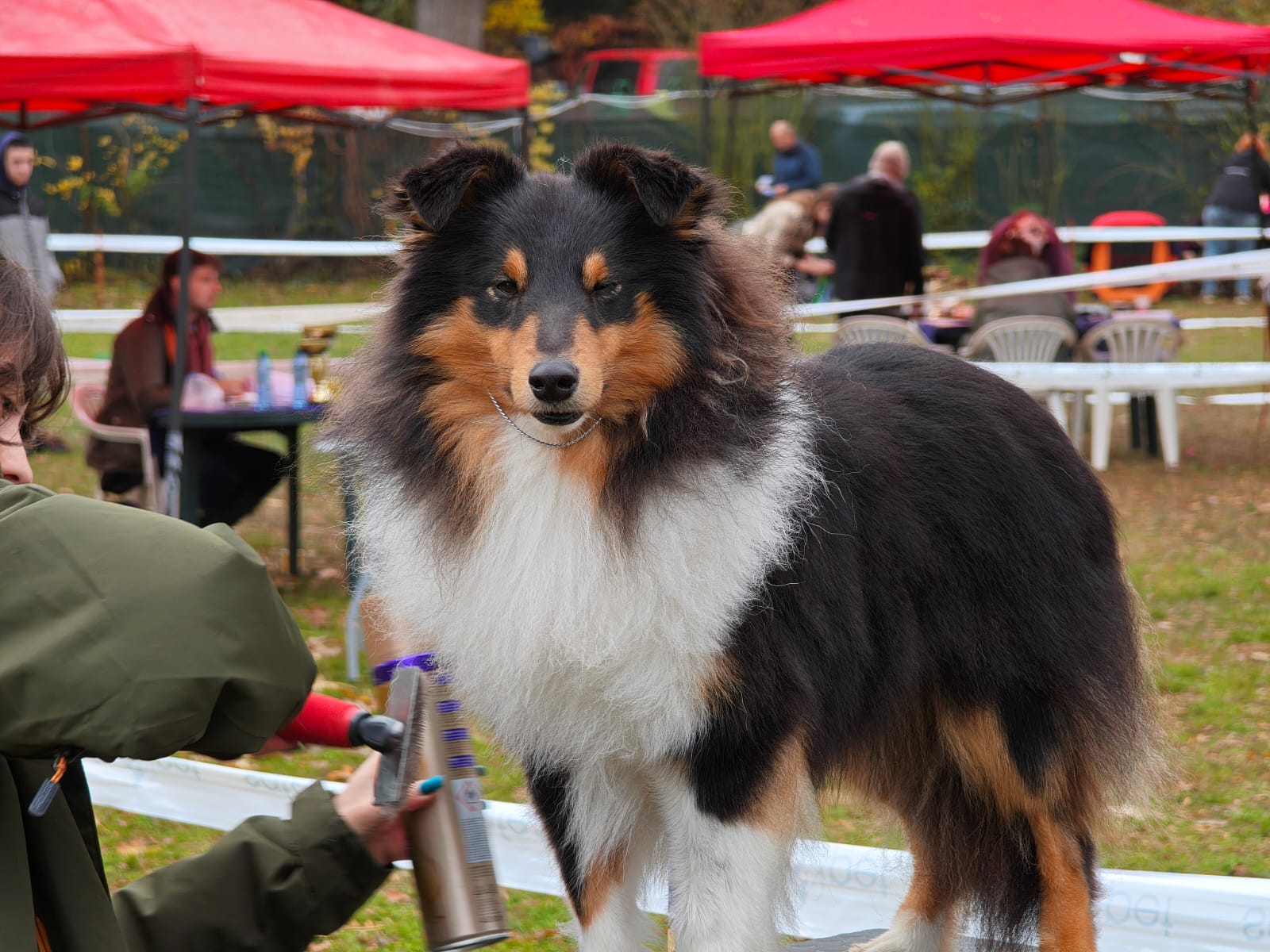 WhatsApp Image 2025-10-26 at 13.35.08 (5)