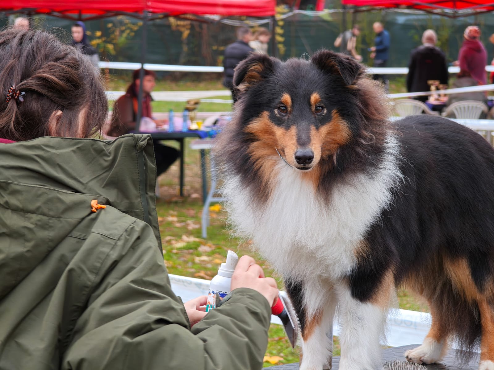 WhatsApp Image 2025-10-26 at 13.35.08 (7)