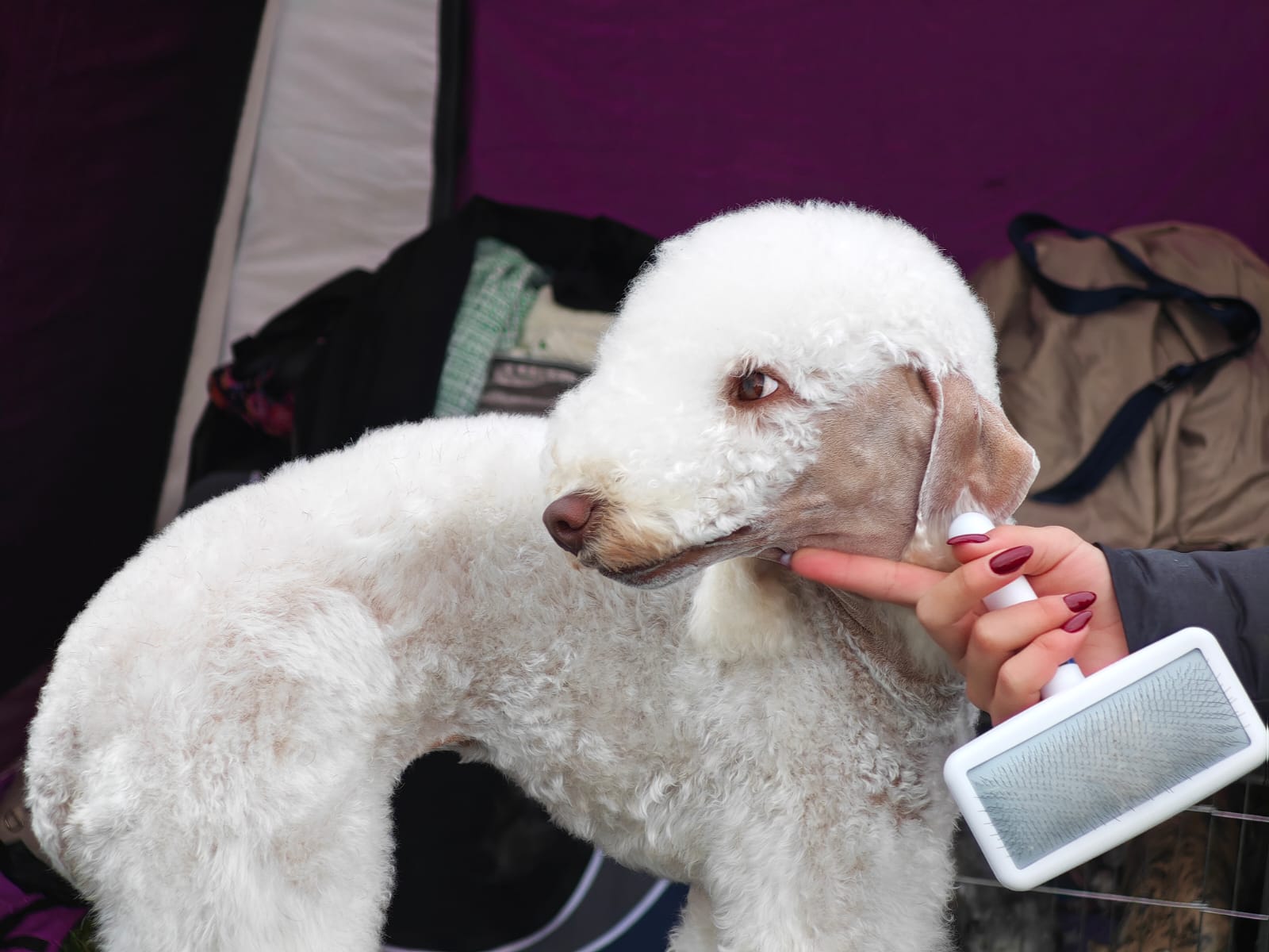 WhatsApp Image 2025-10-26 at 13.35.10