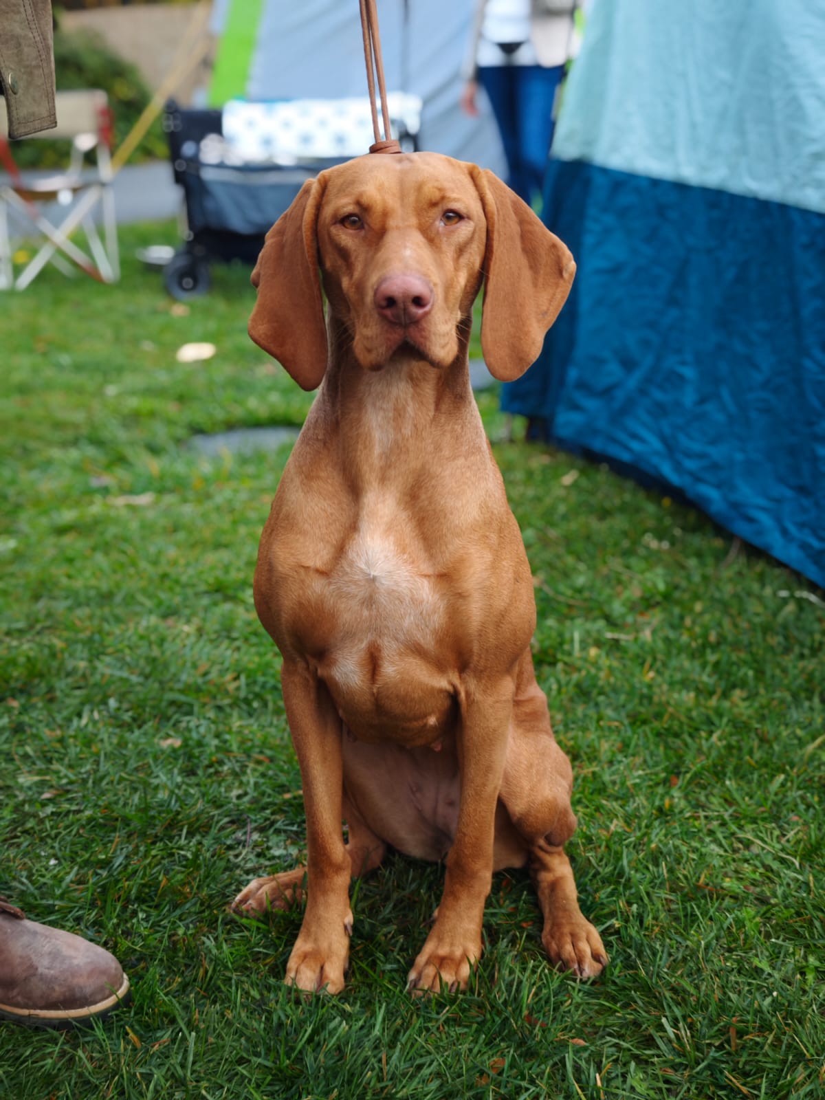 WhatsApp Image 2025-10-26 at 13.35.10 (5)