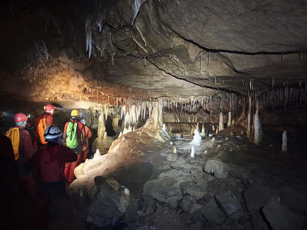 WhatsApp Image 2025-09-30 at 12.48.02(4)