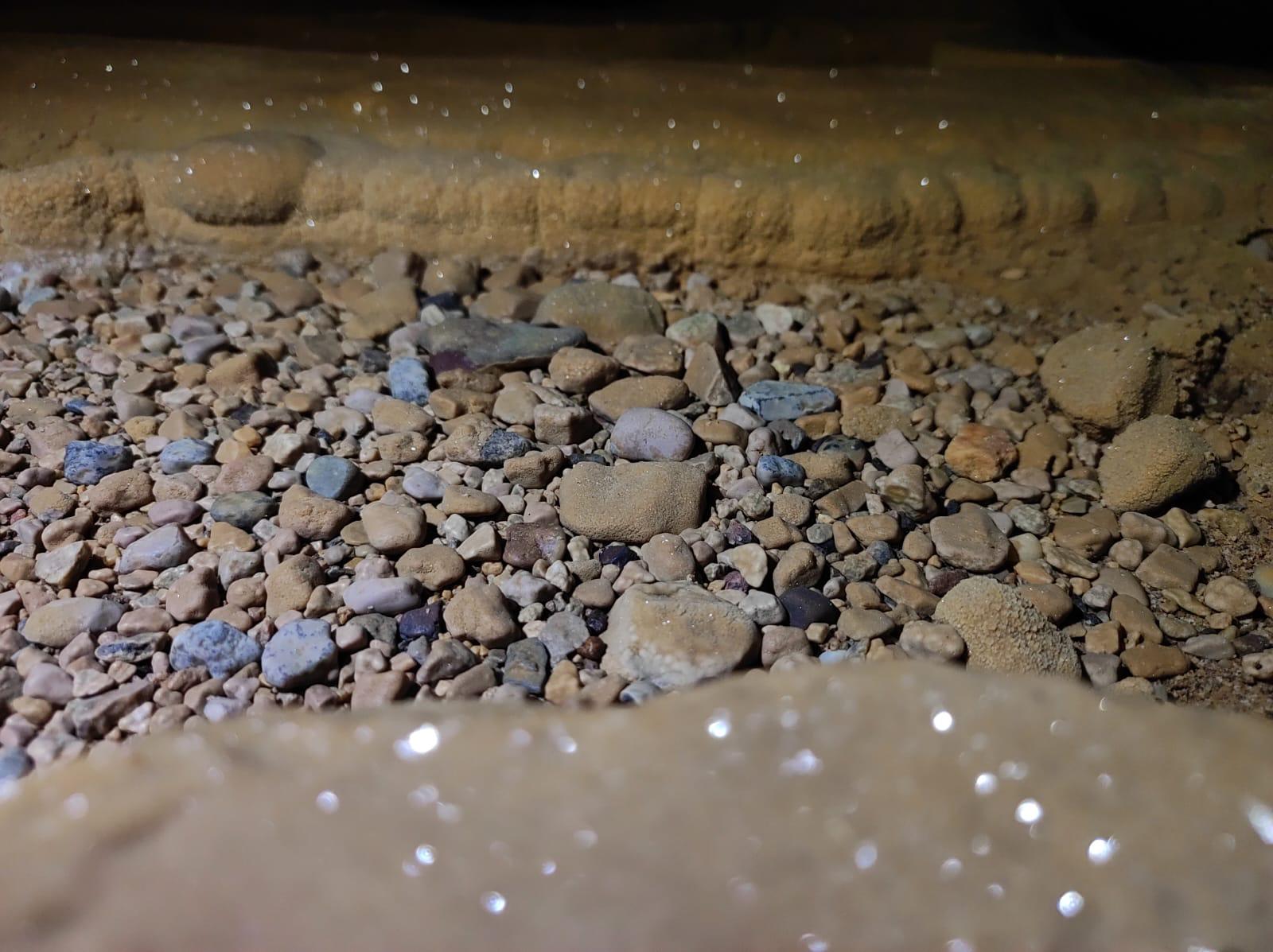 WhatsApp Image 2025-09-30 at 12.47.54(2)