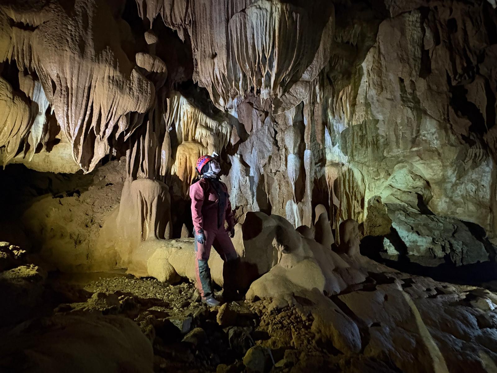 WhatsApp Image 2025-09-30 at 12.47.53