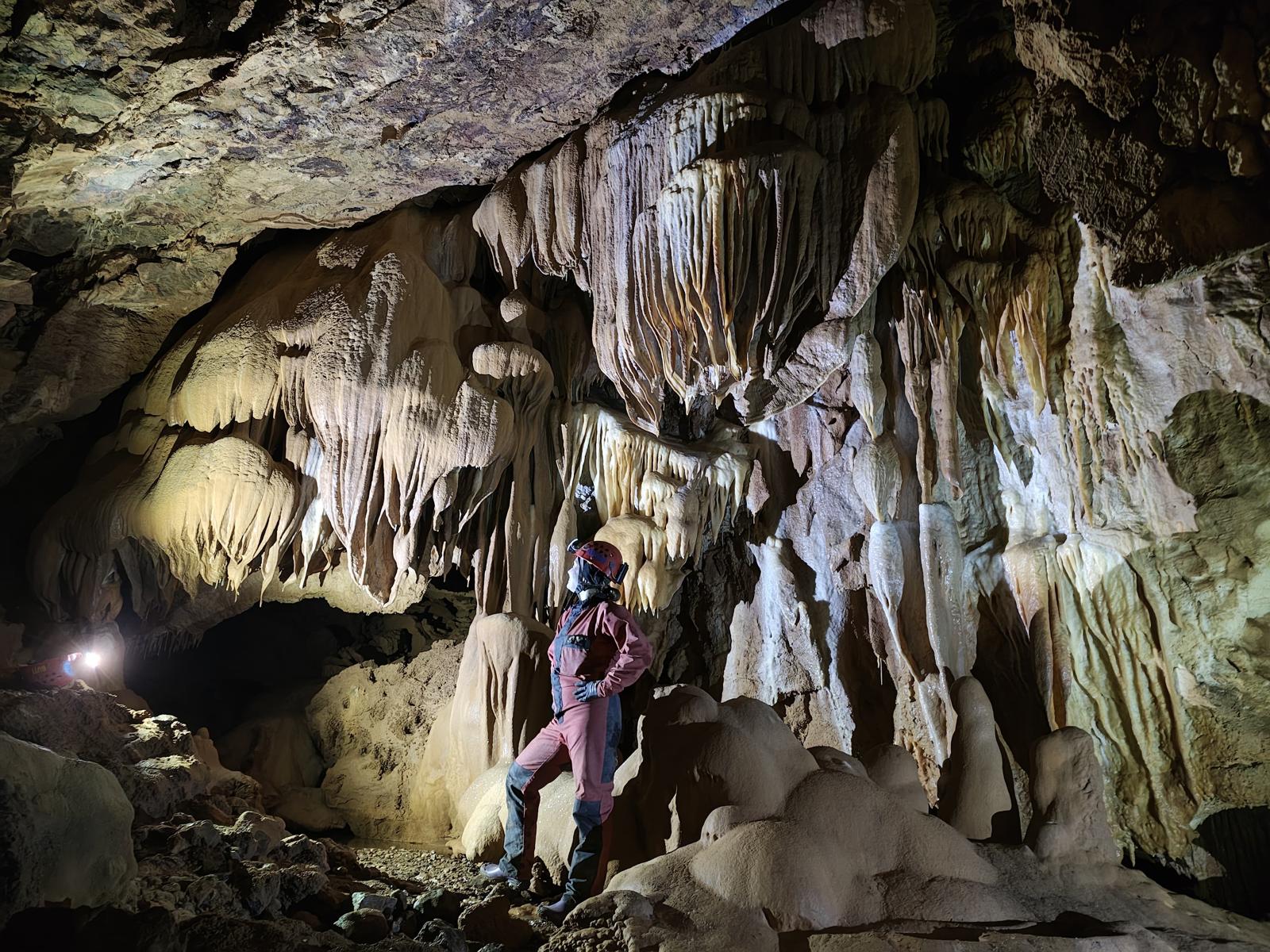 WhatsApp Image 2025-09-30 at 12.47.51(1)