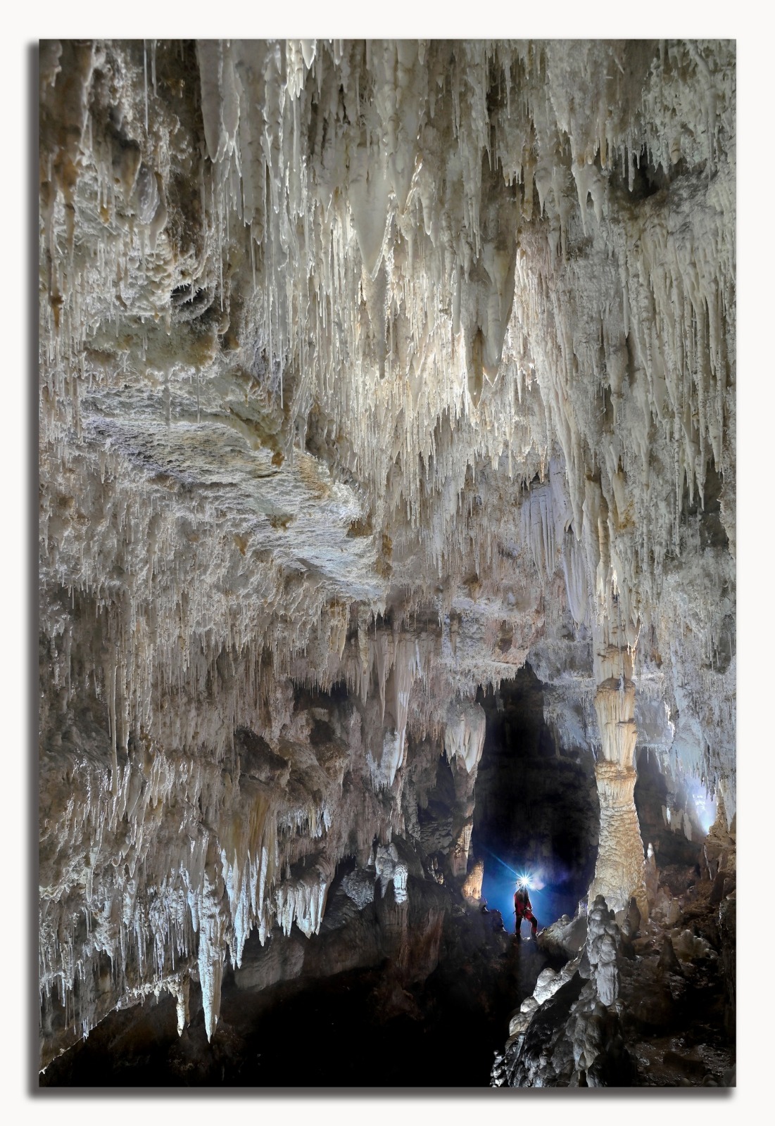 WhatsApp Image 2025-09-30 at 12.47.05