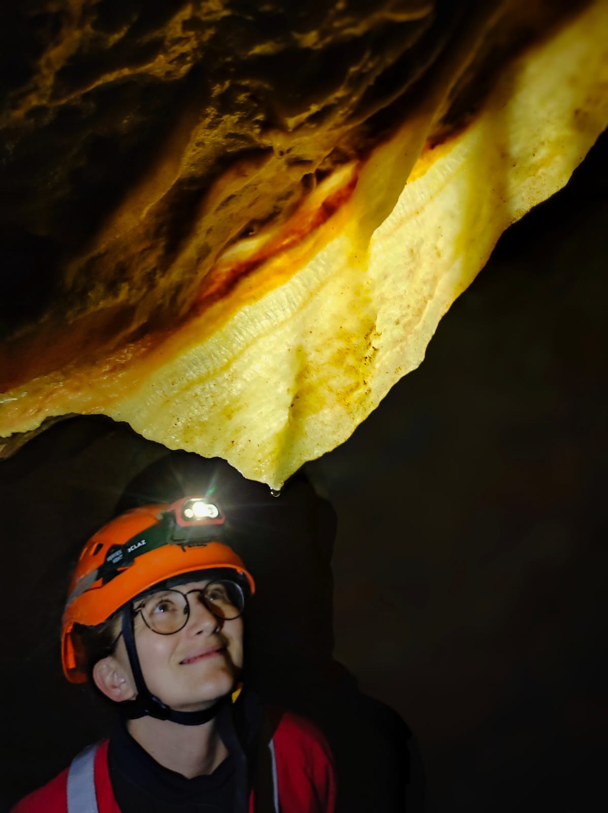 WhatsApp Image 2025-09-30 at 12.47.02