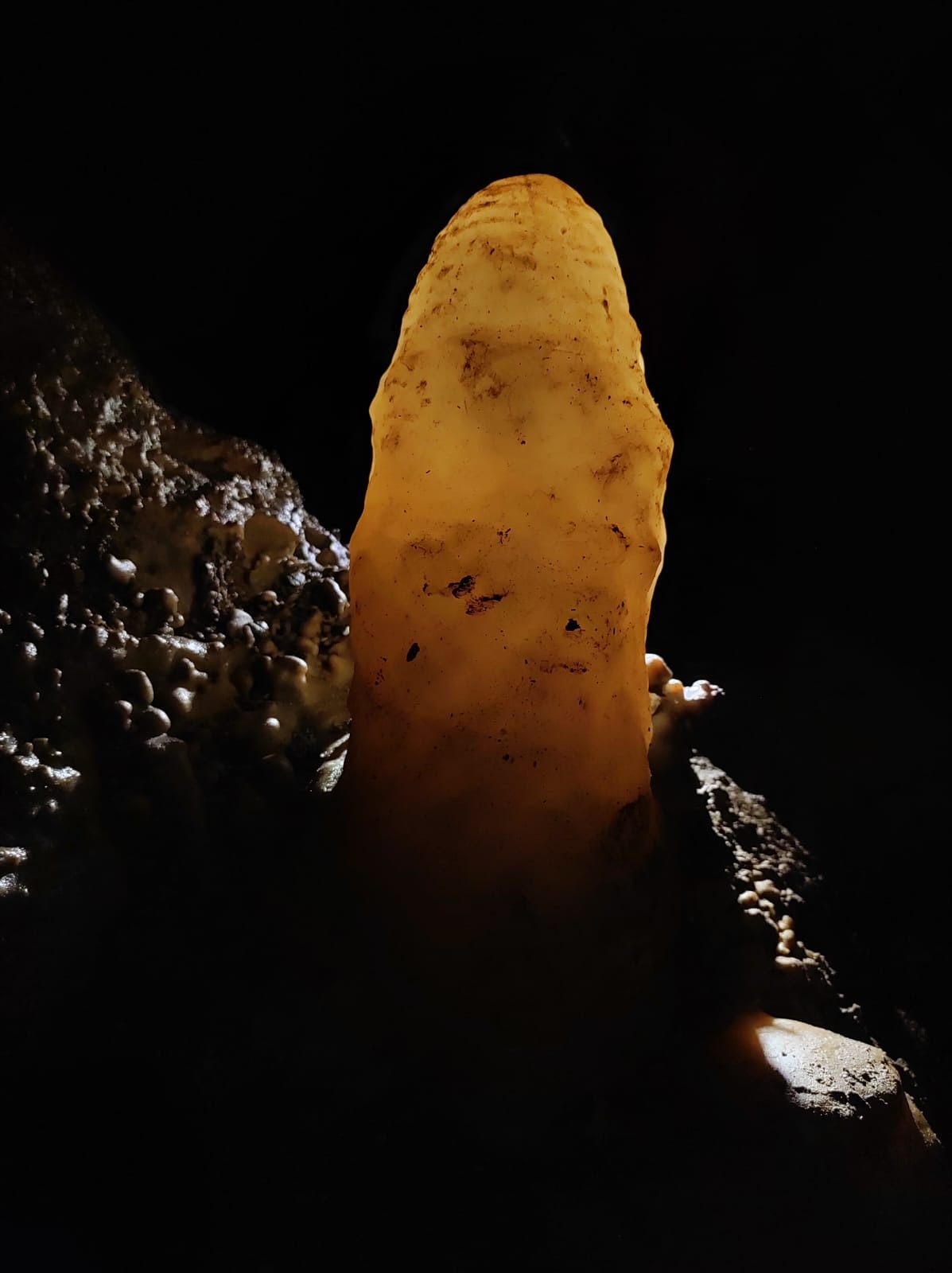 WhatsApp Image 2025-09-30 at 12.47.00(2)