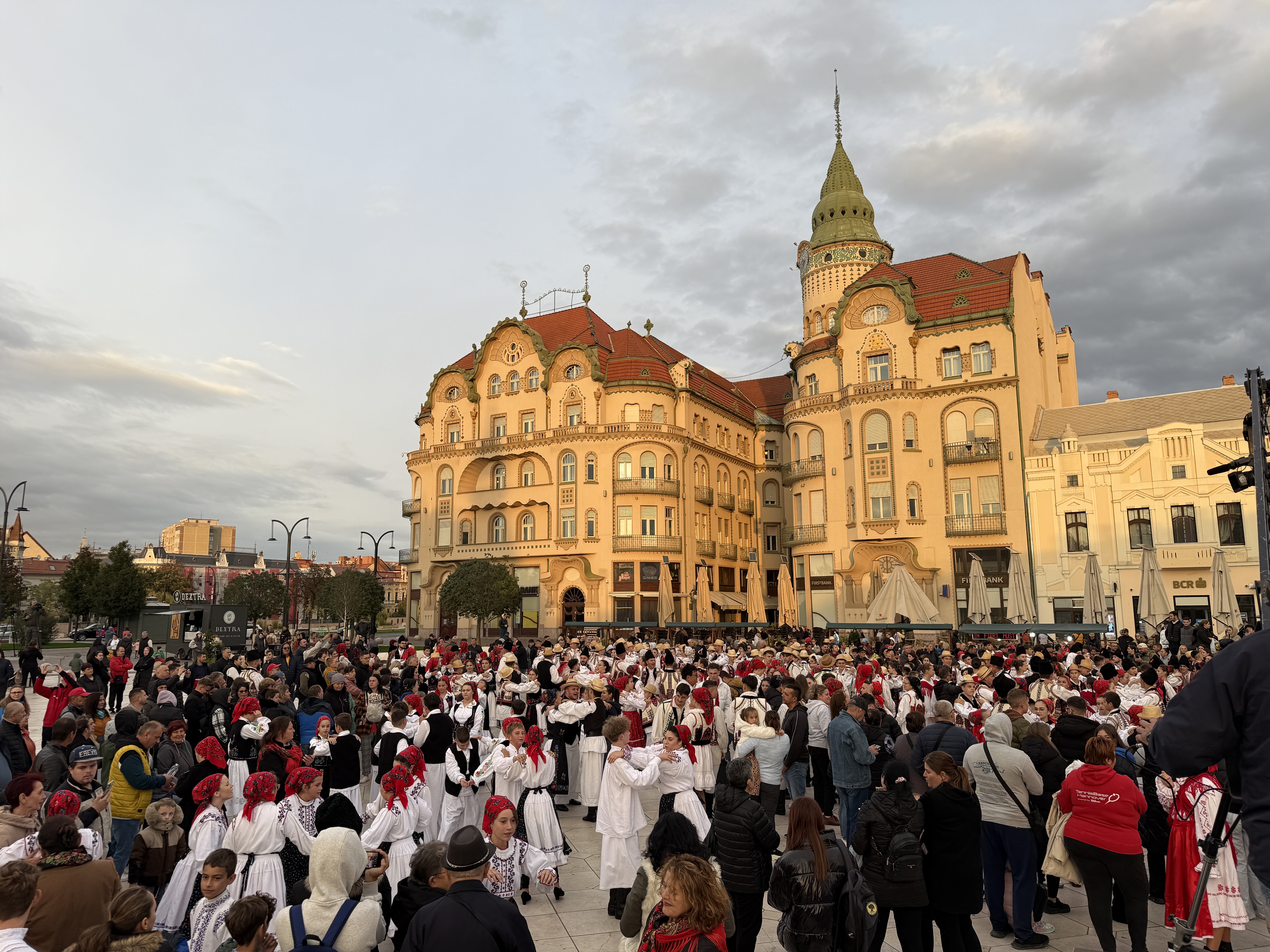 Higheghe și vin (2)