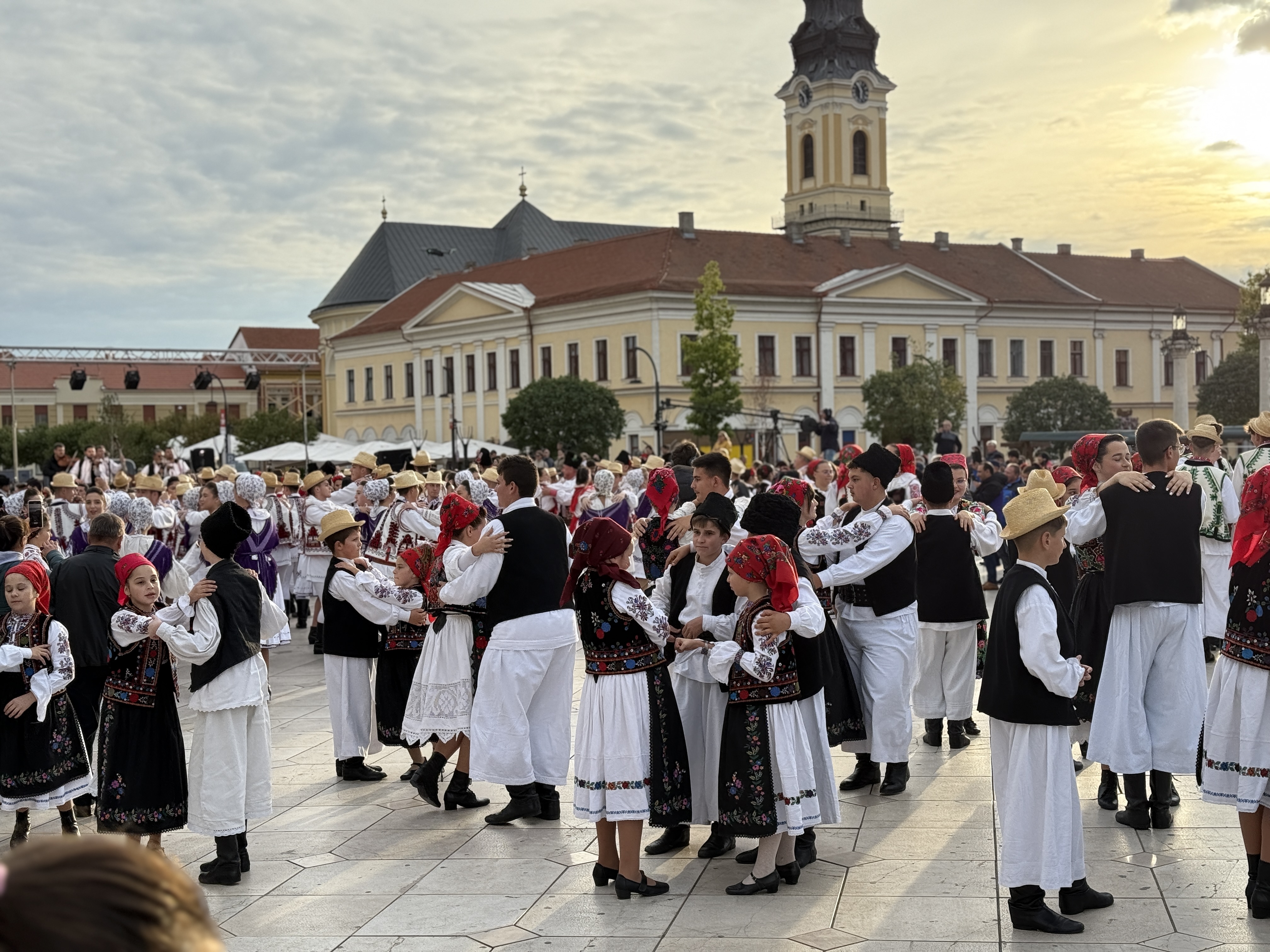 Higheghe și vin (3)